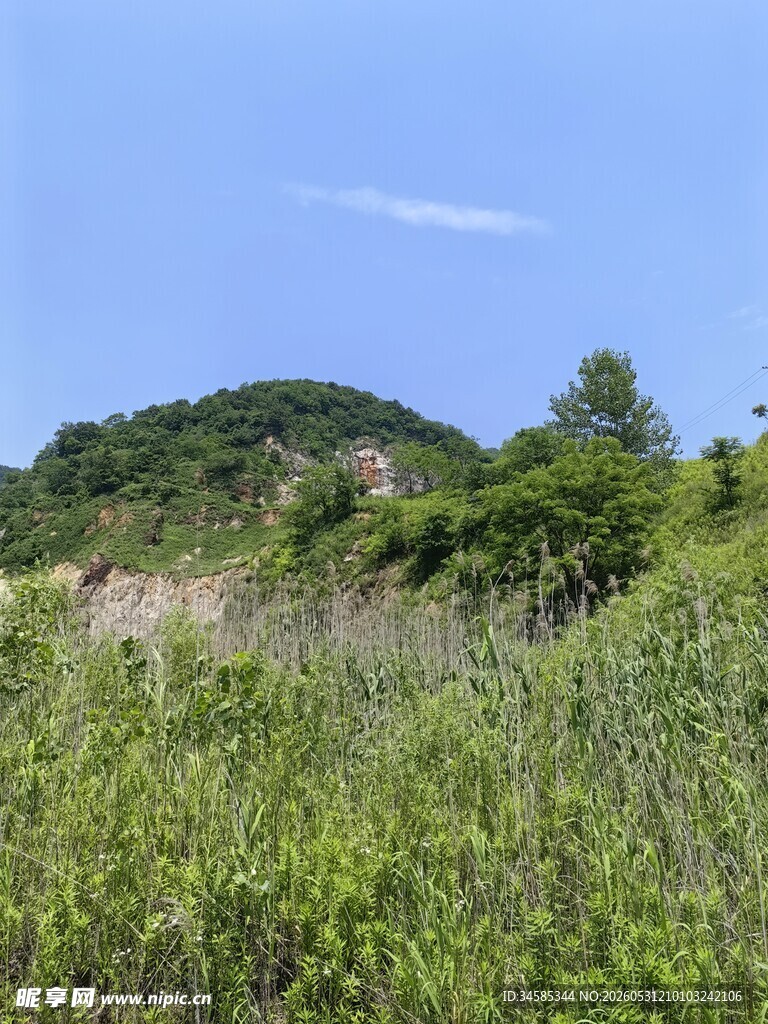 绿意盎然的山野风光