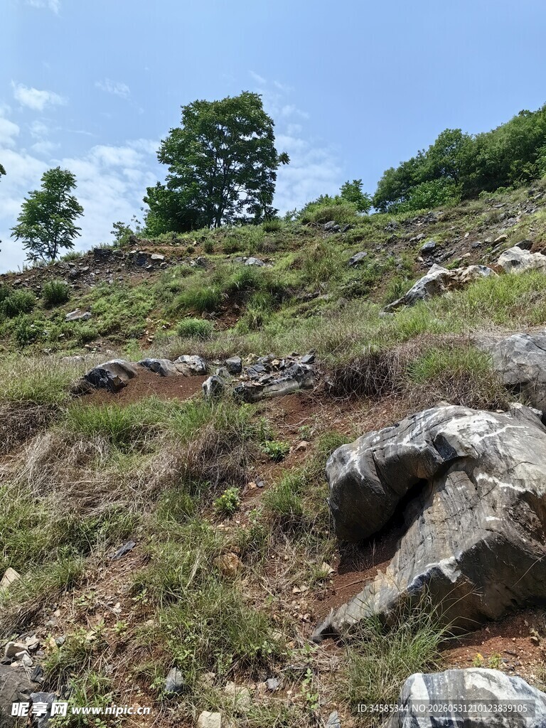 山坡上的岩石与绿意