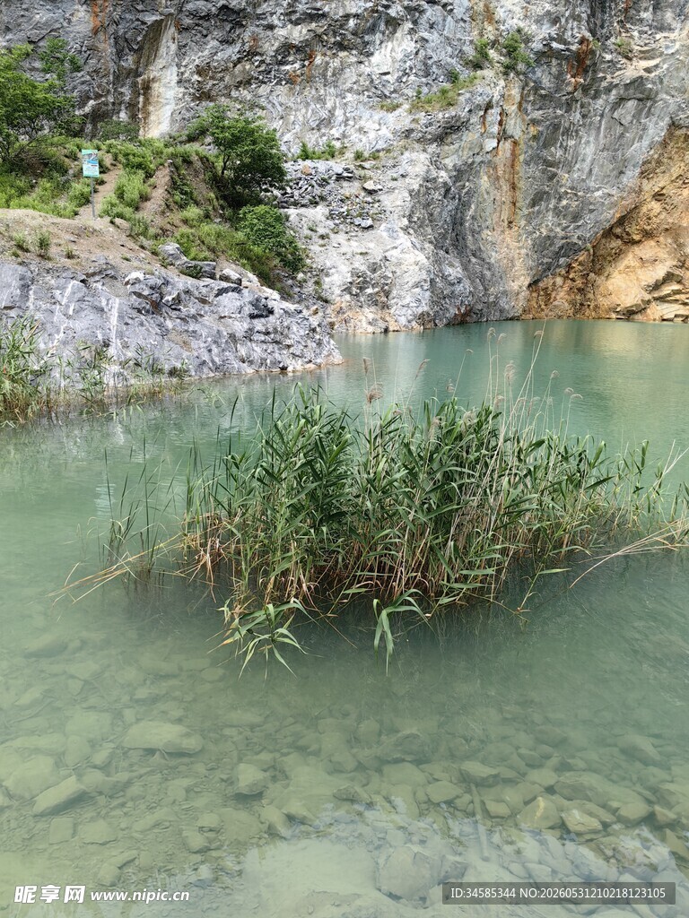 山间清潭中的绿意盎然
