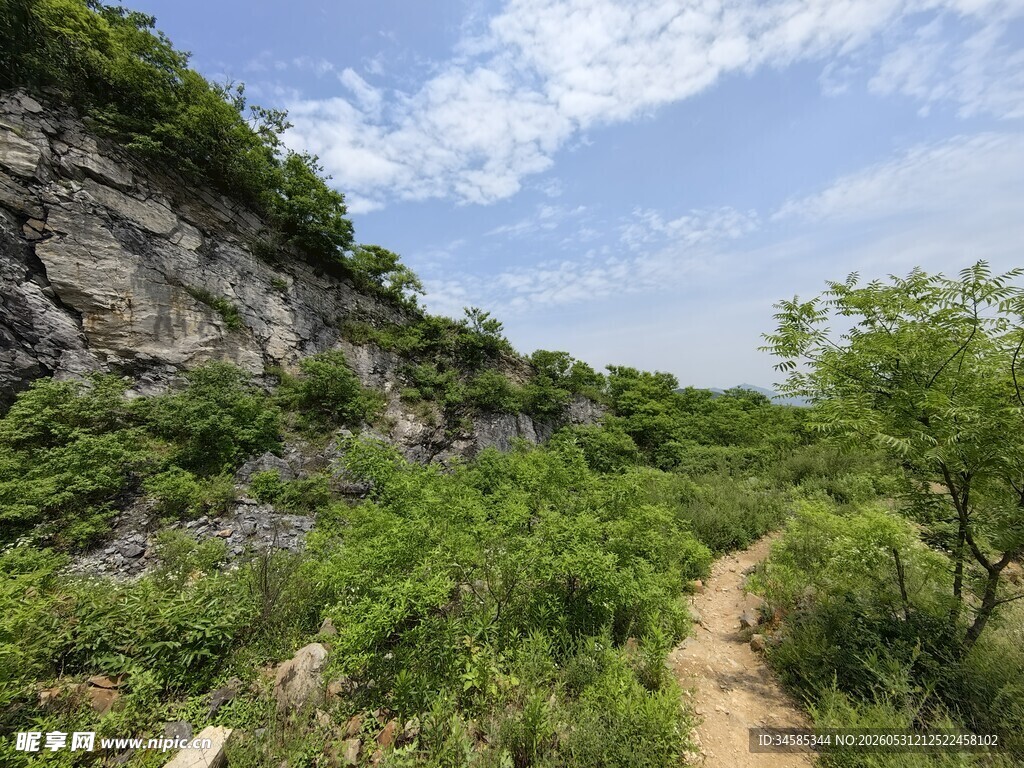 山间小径绿植环绕的美景