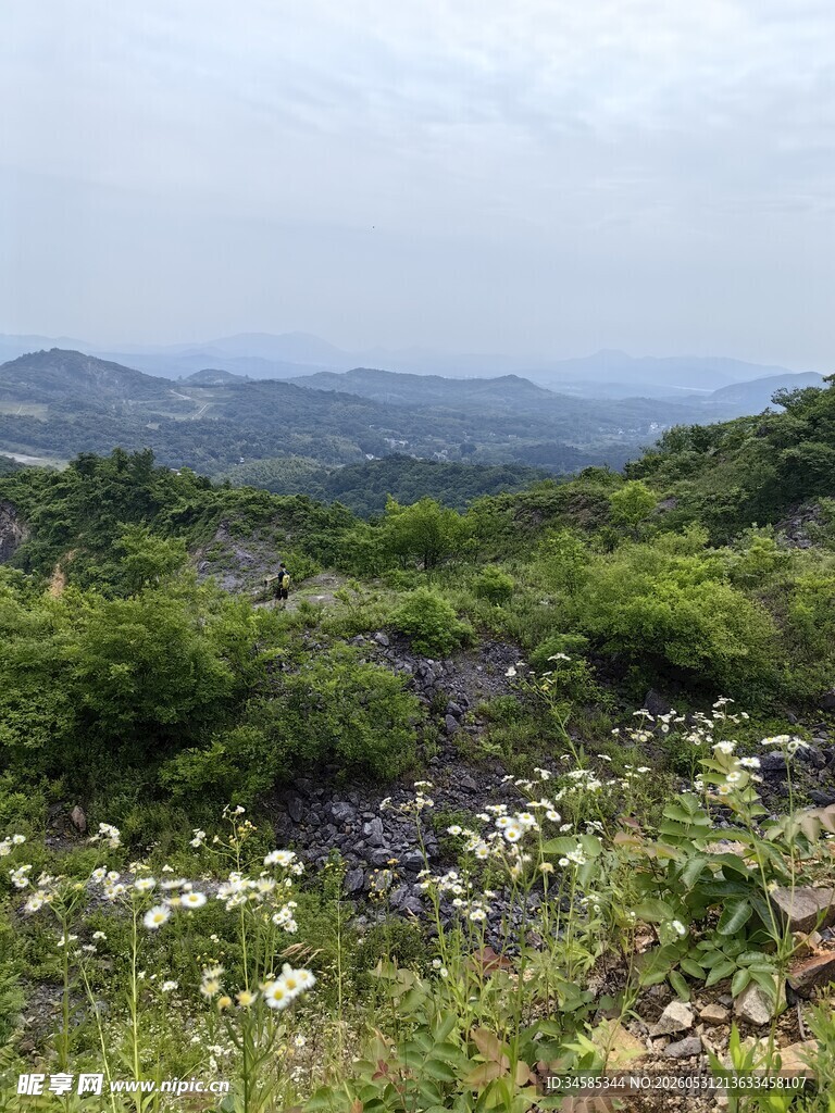 山间绿野风景