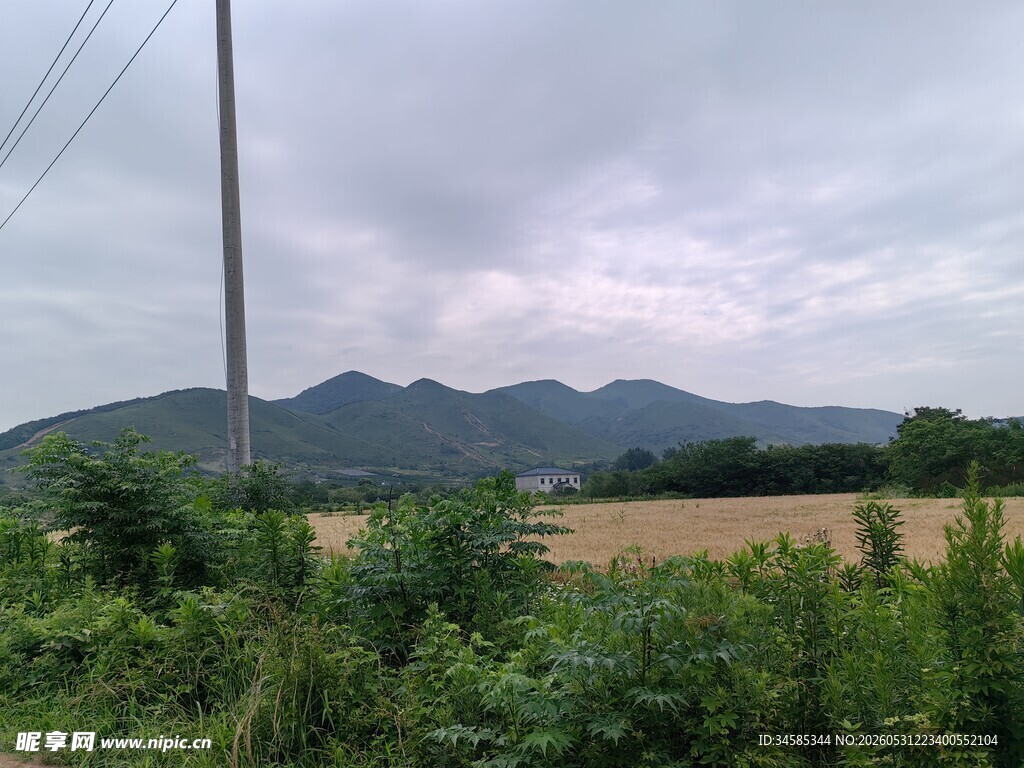 乡村田野间的远山与植被