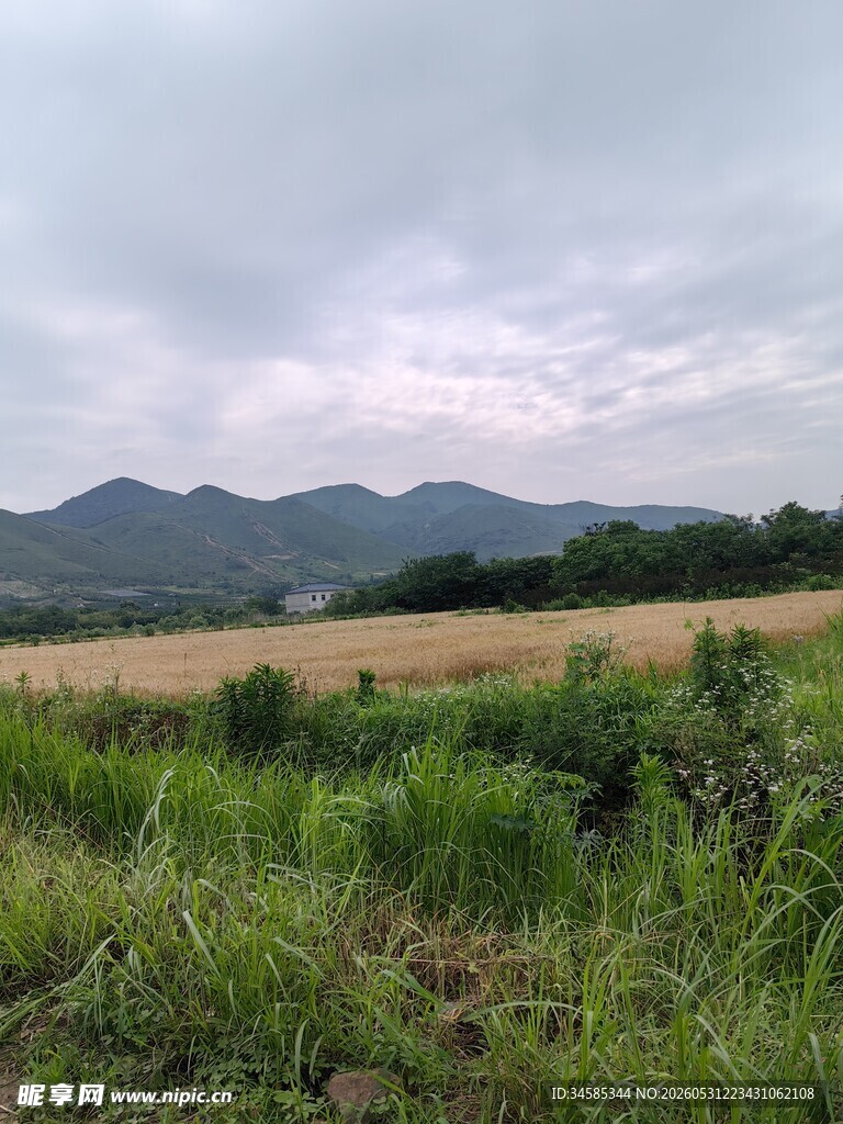 田野风光中的远山与植被