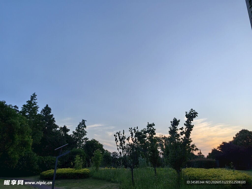 黄昏下的树林与开阔田野