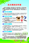狂犬病知识