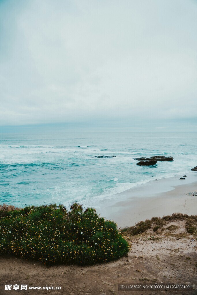 海边景致绿植