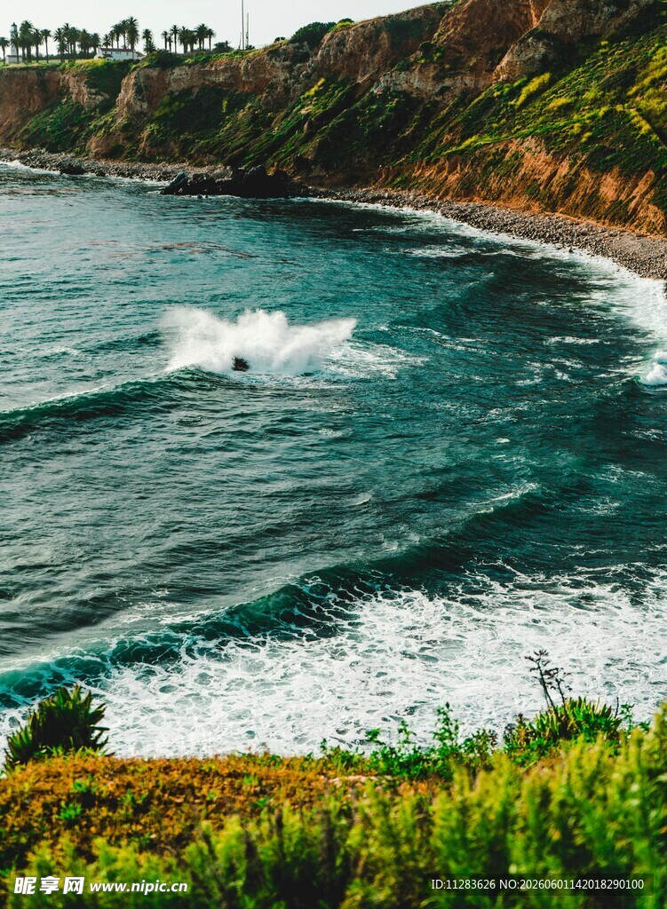 海岸边的翠绿与翻涌海浪