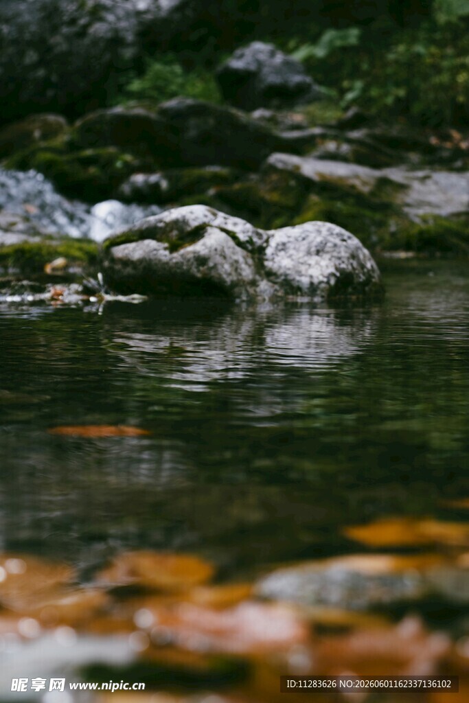 山间清澈溪流中的