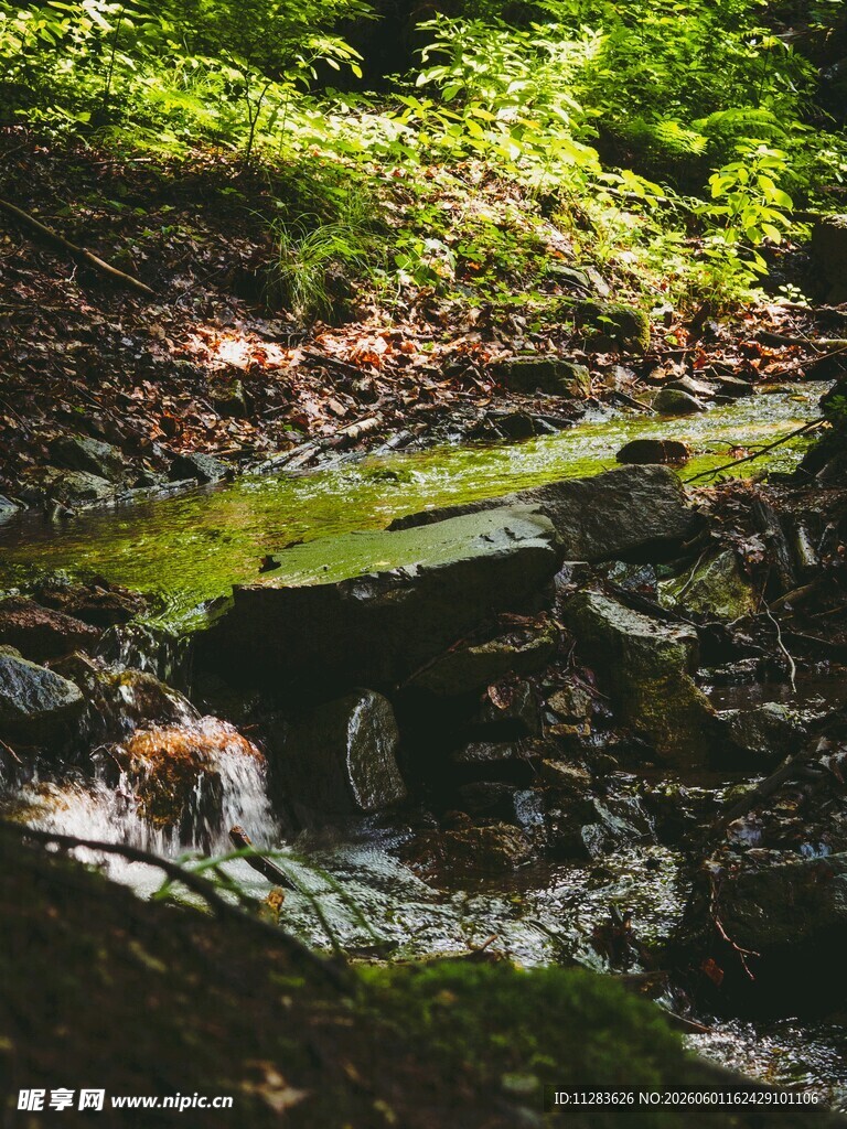 山间溪流绿意环绕