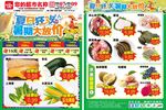 暑假DM