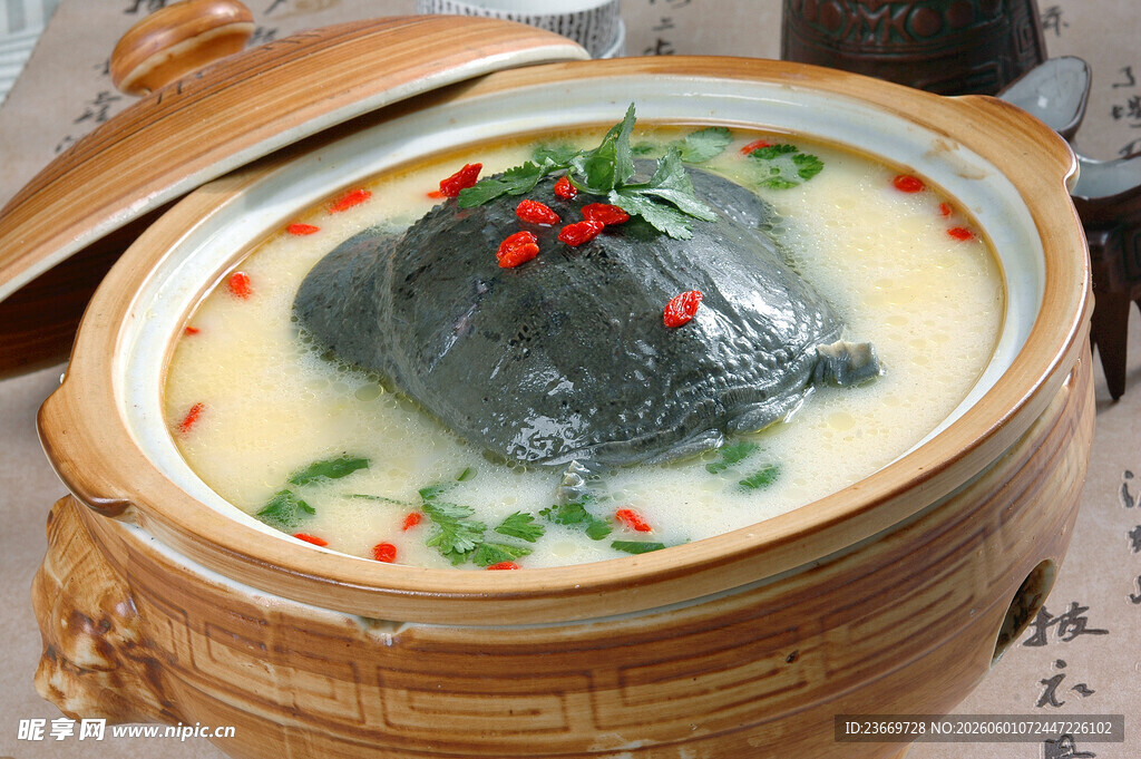 砂锅炖甲鱼