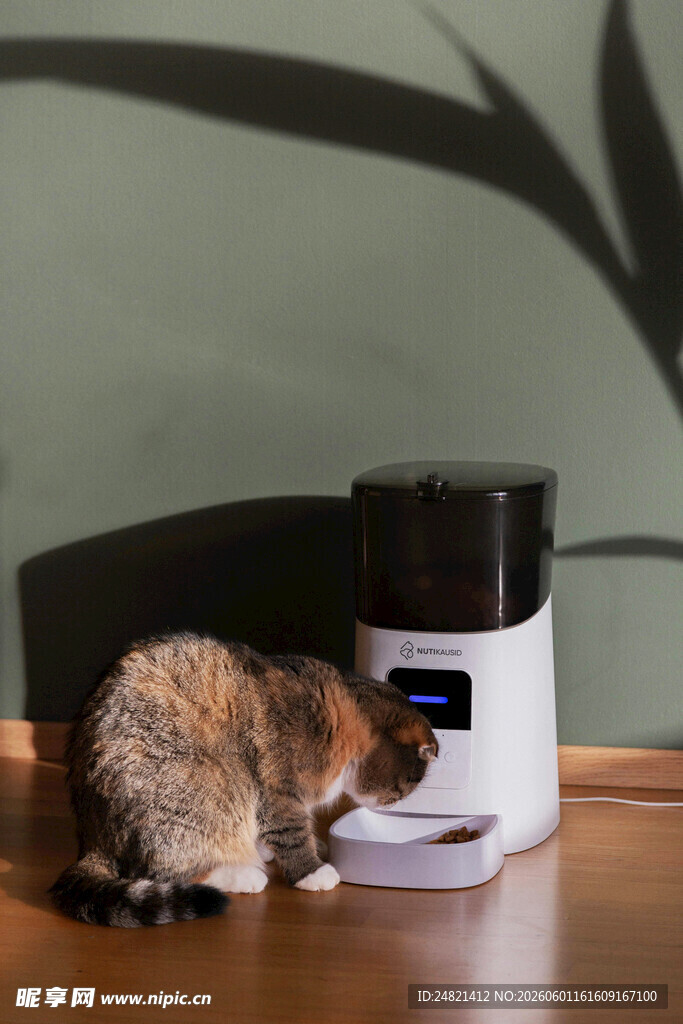 小猫嗅探智能宠物喂食器