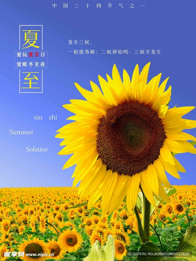 夏至 