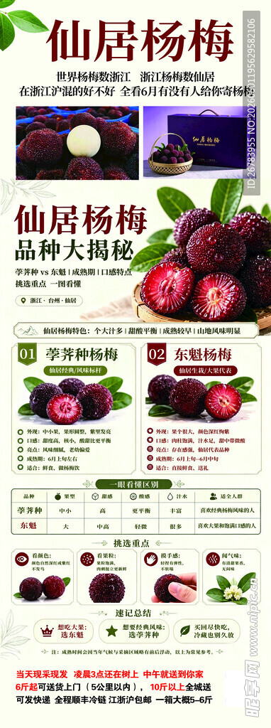优质杨梅  新鲜美味上市
