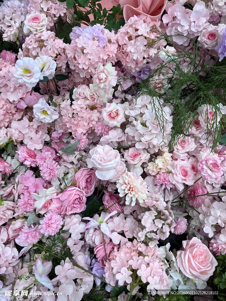 缤纷多彩的美丽花卉