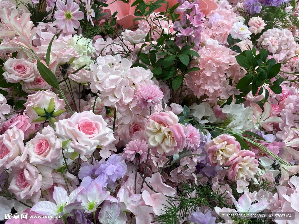 缤纷多彩花卉绽放