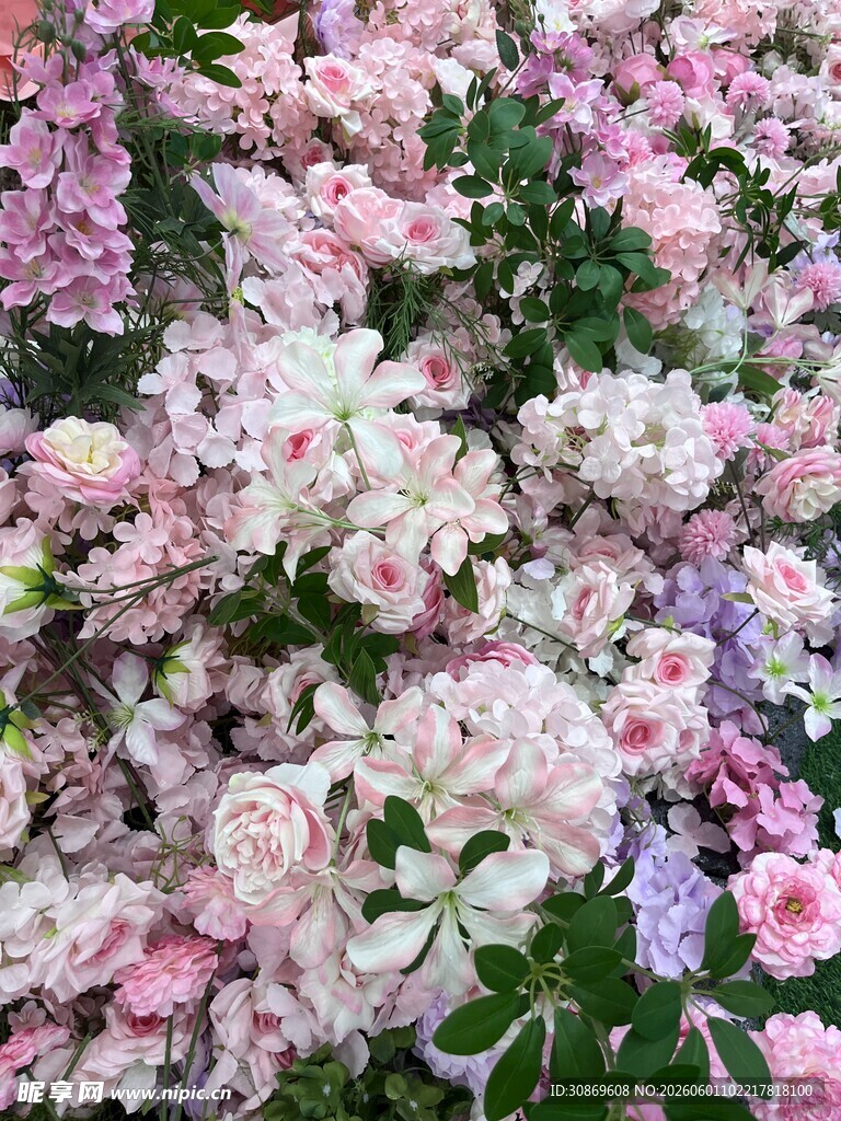缤纷多彩花卉绽放