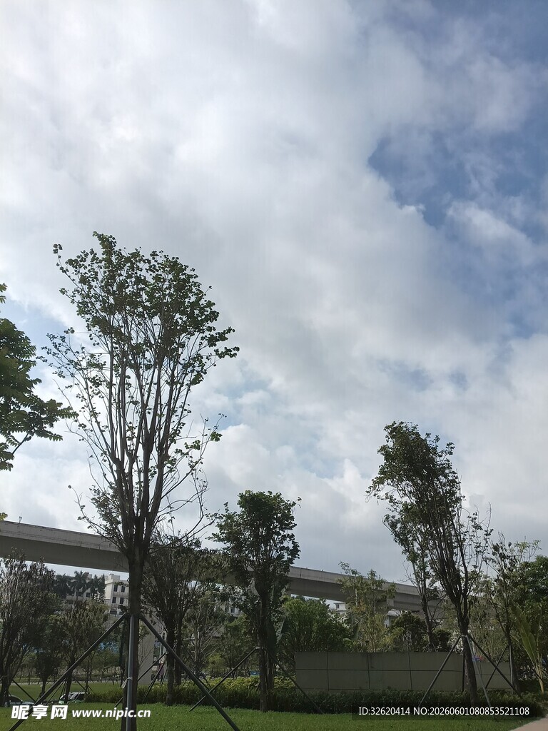 蓝天白云下的绿树景观