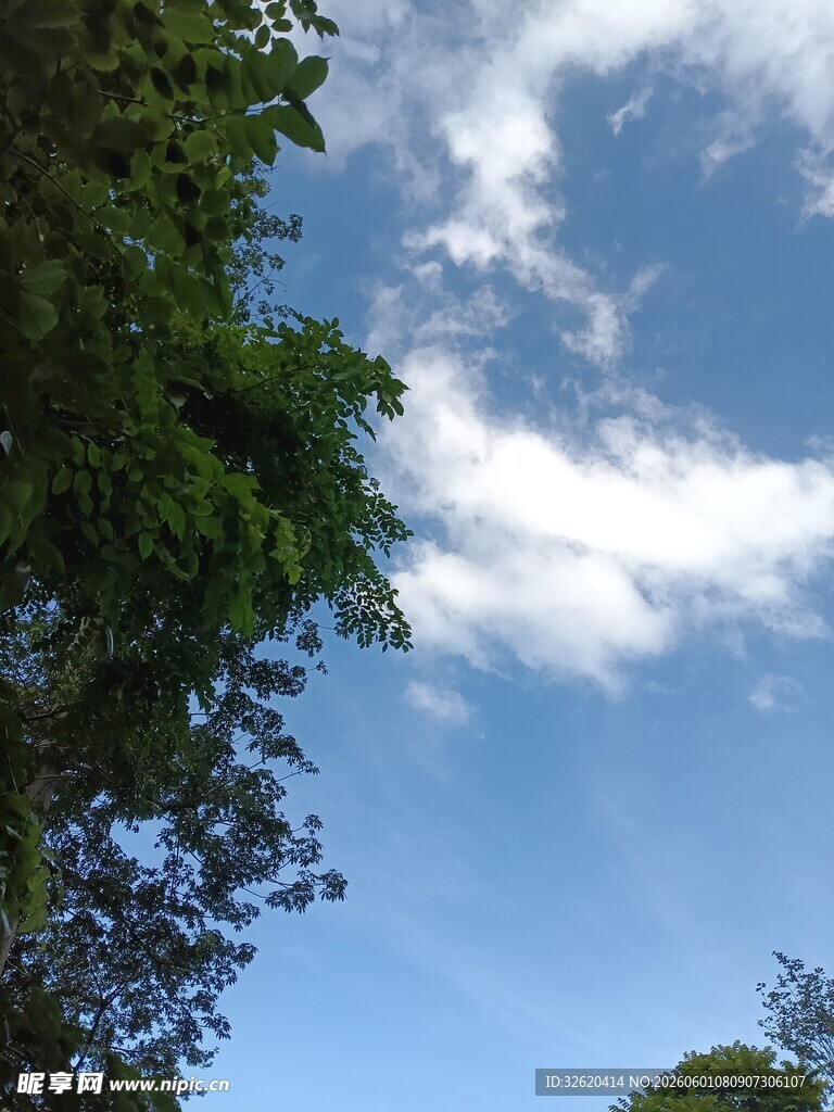 蓝天绿树间的白云美景