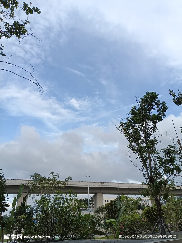 蓝天白云下的桥梁与绿树