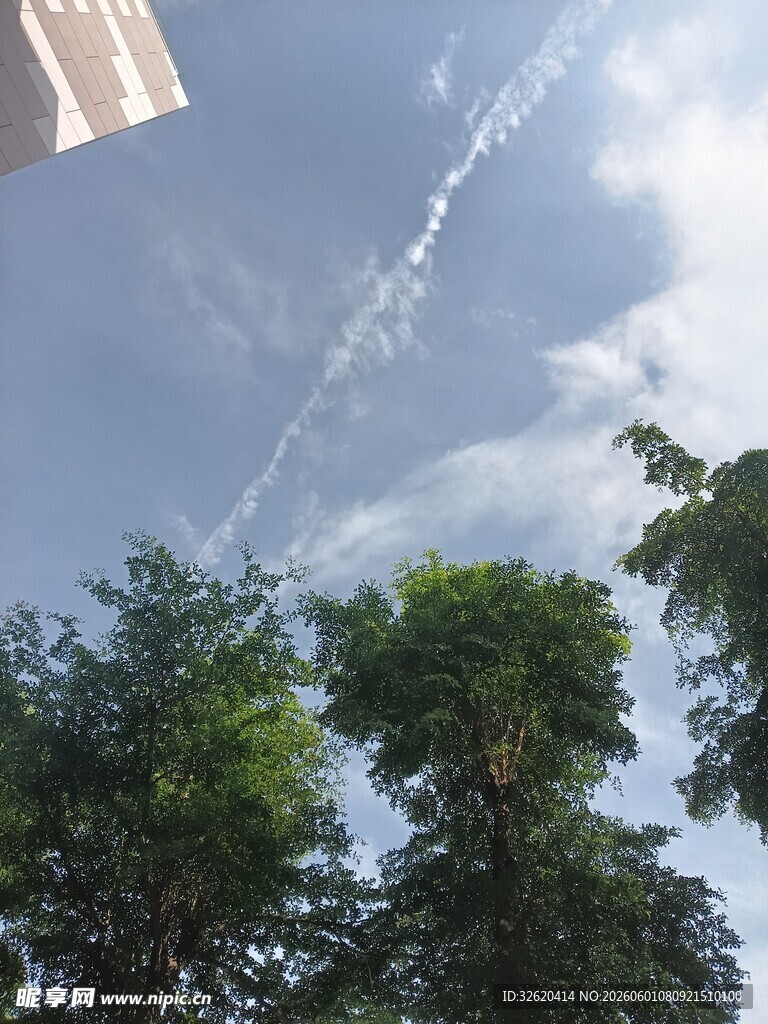 蓝天绿树间
