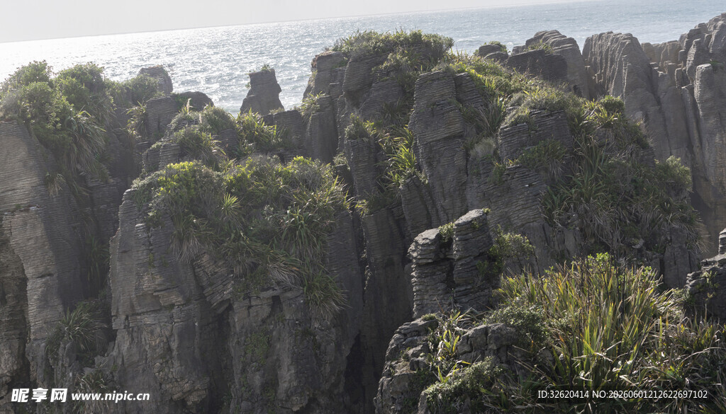 海岸嶙峋岩石与繁茂植被