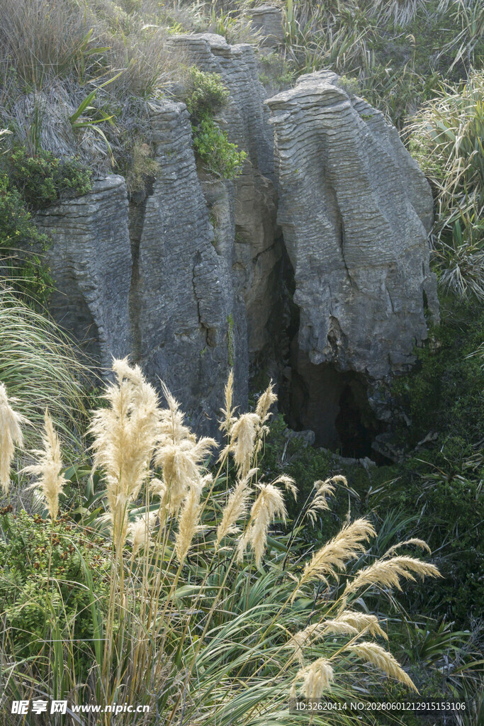 山间野苇与嶙峋岩石