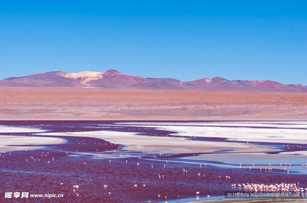 盐湖风景远处雪山壮丽