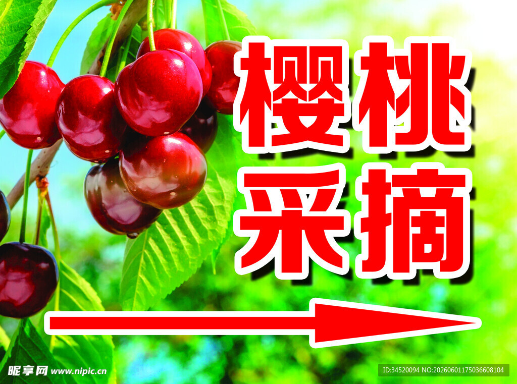 樱桃