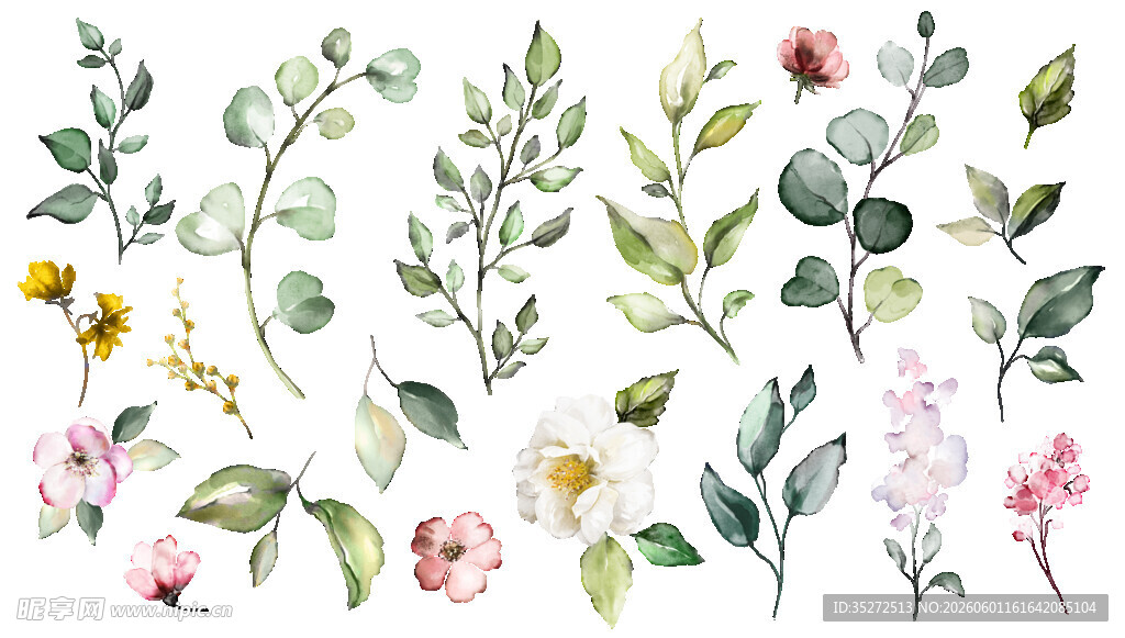 水彩花卉植物插画素材