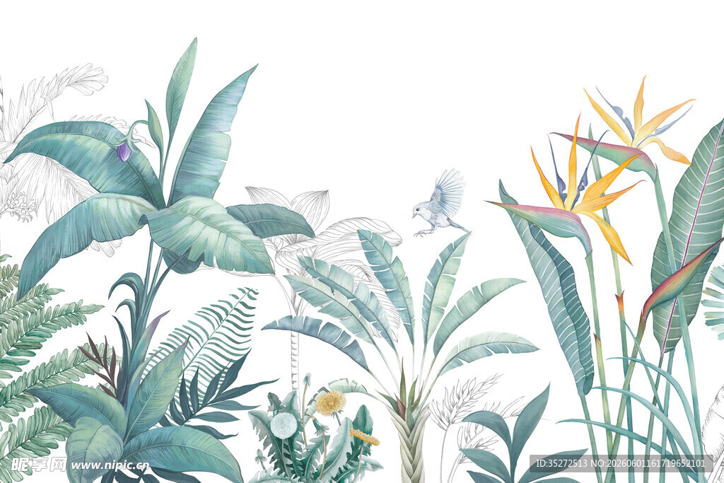 清新手绘热带植物插画