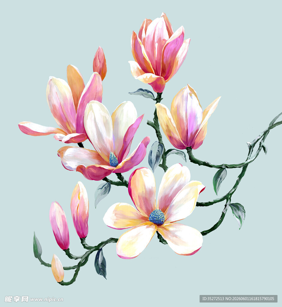 玉兰花枝水彩画