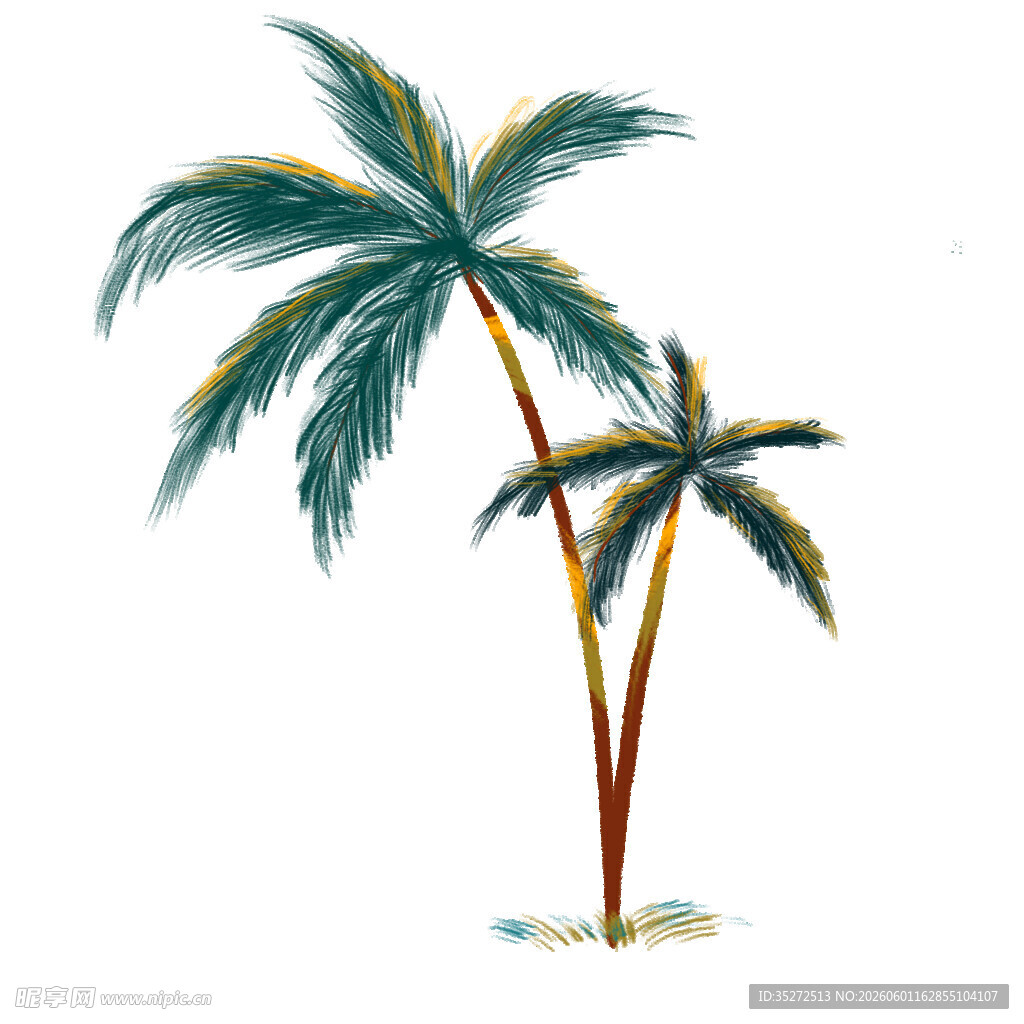 两棵棕榈树插画