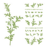 绿色植物枝叶矢量素材图