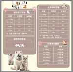 宠物价格表