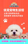 宠物医院名片