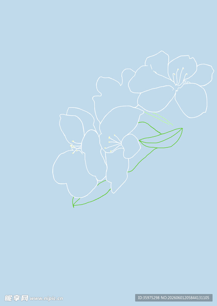 简约花朵线条插画