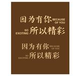 因为有你所以精彩海报