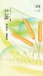 芒种海报