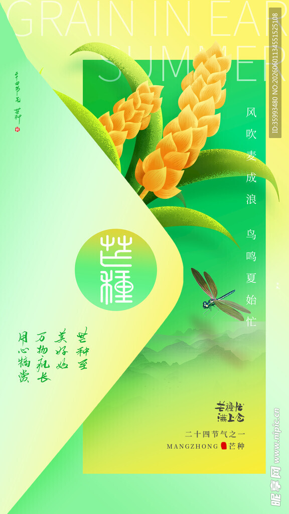 芒种海报 