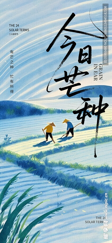 芒种海报