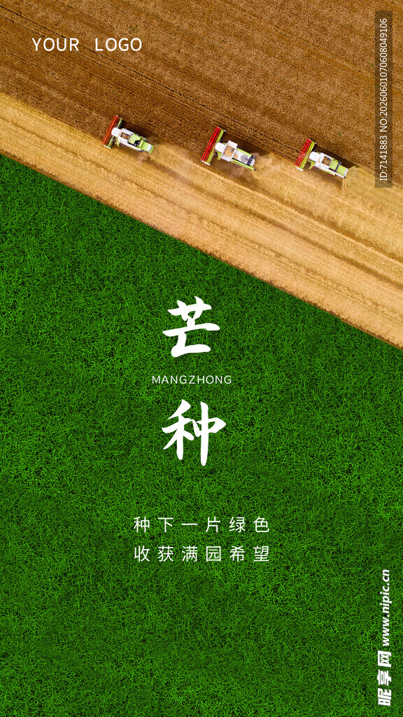 芒种