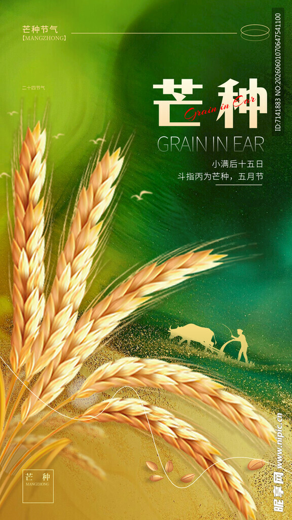 芒种