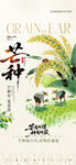芒种