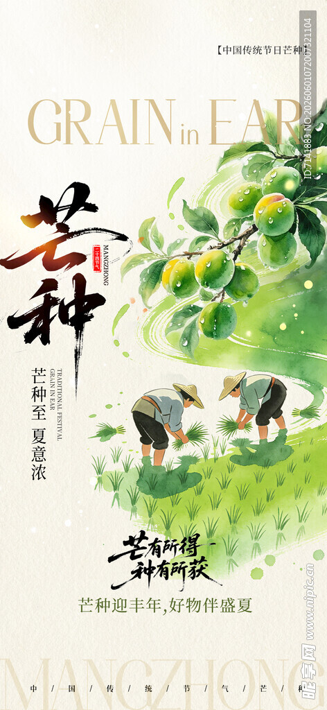 芒种