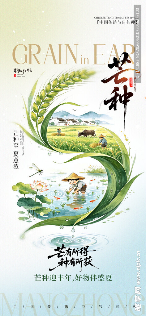 芒种