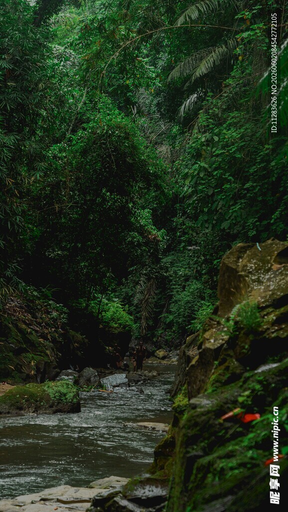 山间溪流旁的