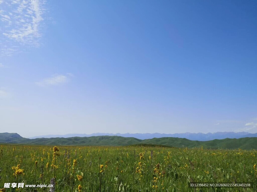 草原花海蓝天美景