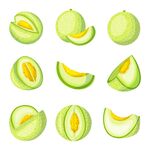 卡通甜瓜素材