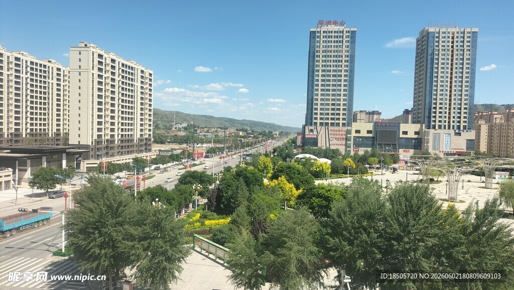 城市景观中的绿树与高楼